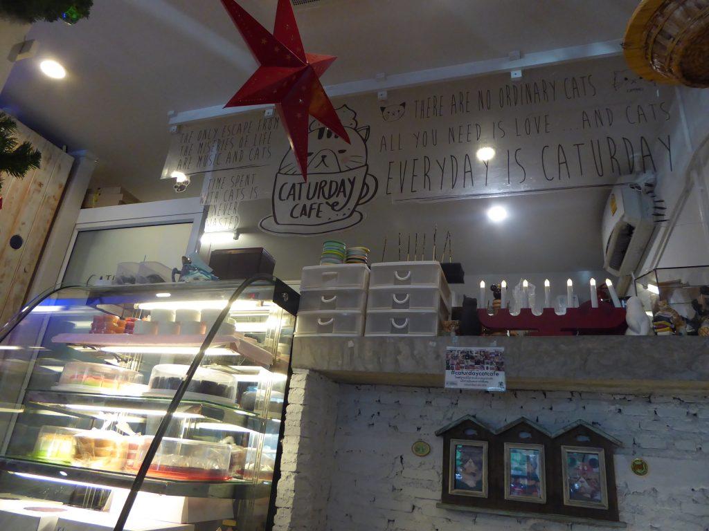 Cat Cafe in Bangkok